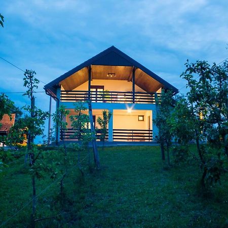 Holiday Home Dandelion With Hot Tub & Sauna Cetingrad Extérieur photo