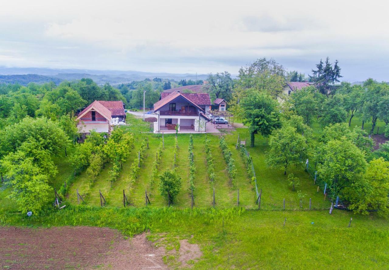 Holiday Home Dandelion With Hot Tub & Sauna Cetingrad Extérieur photo