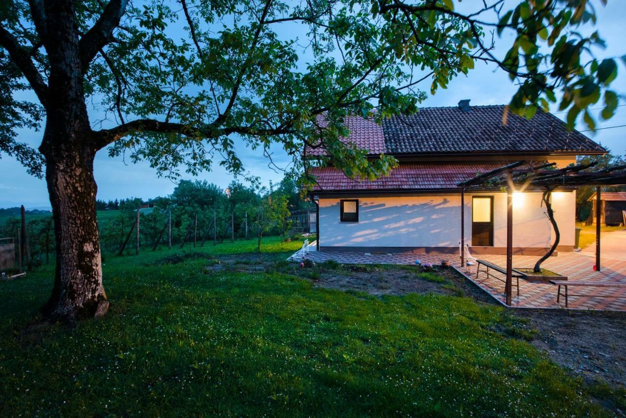 Holiday Home Dandelion With Hot Tub & Sauna Cetingrad Extérieur photo